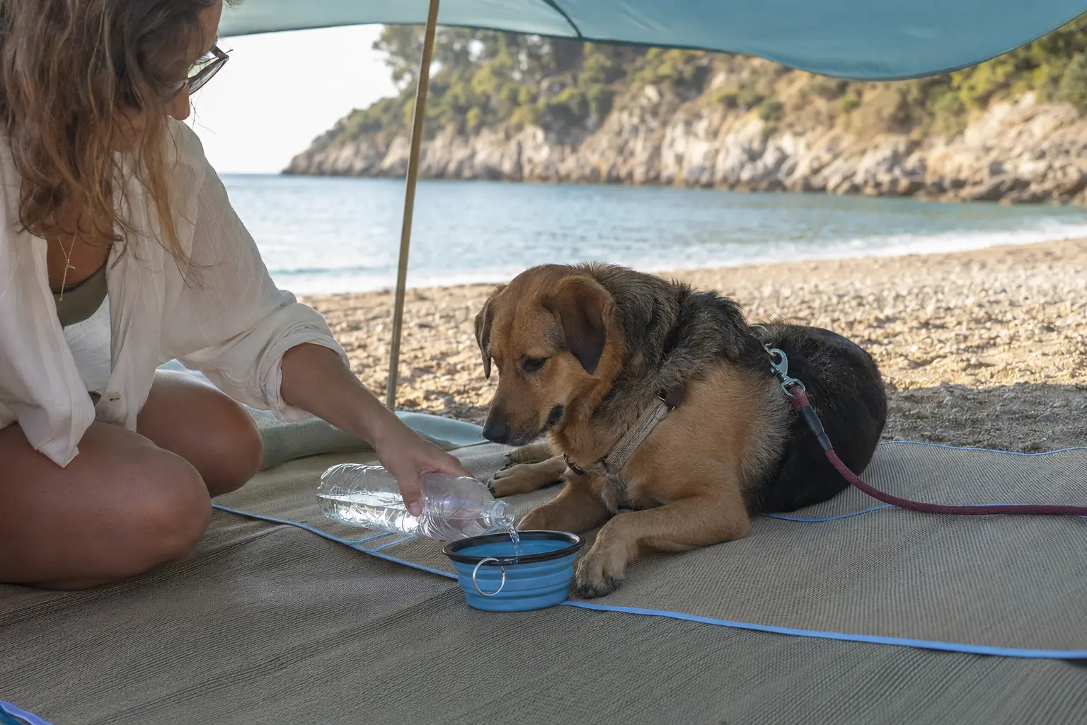 Proprietaria offre acqua fresca al cane sdraiato all’ombra sulla spiaggia